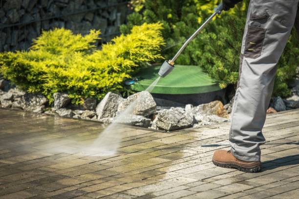 Trusted Sterling, VA Pressure Washing Services Experts